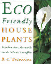 Eco Friendly House Plants