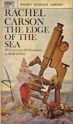 The Edge of the Sea