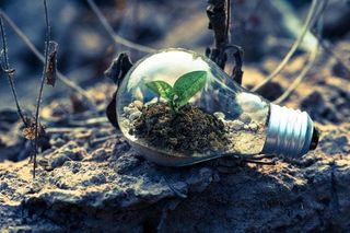 Sustainable Business