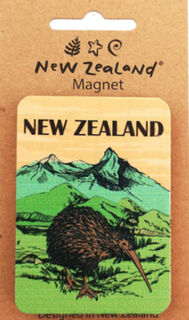 Magnet Brown Kiwi