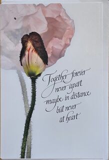 Together Forever Never Apart