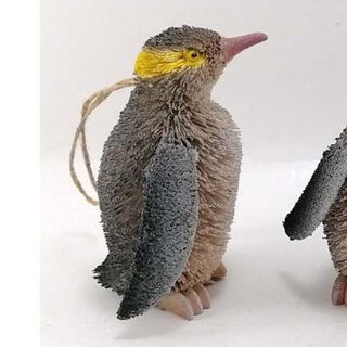 Yellow Eyed Penguin